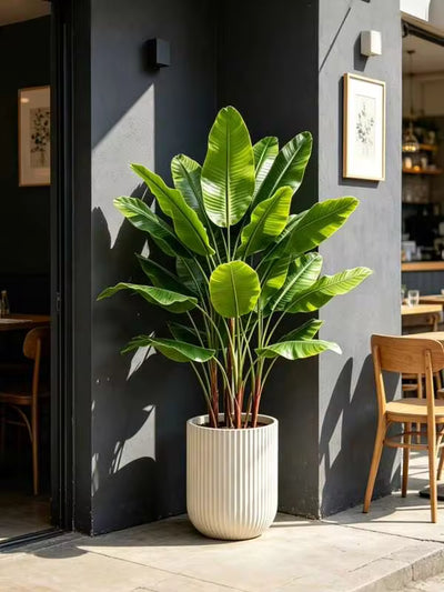 Home & Garden